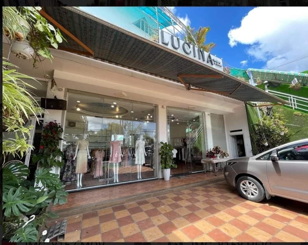 Homestay Lucina Boutique